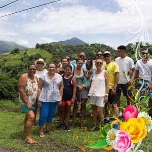 Meet your Posher, Louella